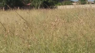 Vacant Land / Plot For Sale in Deneysville, Deneysville