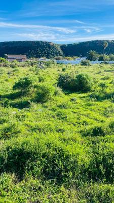 Vacant Land / Plot For Sale in Colchester, Colchester