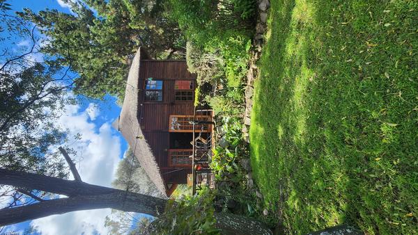 Cottage For Rent in Morningside Manor, Sandton